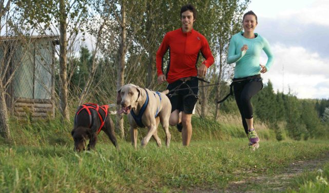 742523-ariat-gauche-basil-adorent-courir