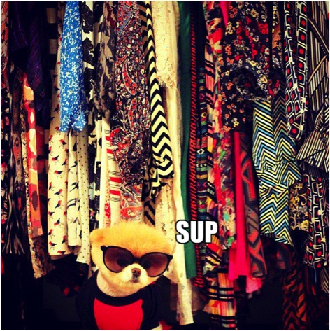 Source de l'image: facebook.com/boo