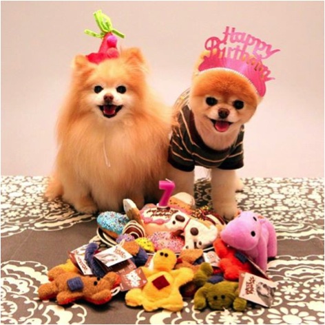 Source de l'image: facebook.com/boo