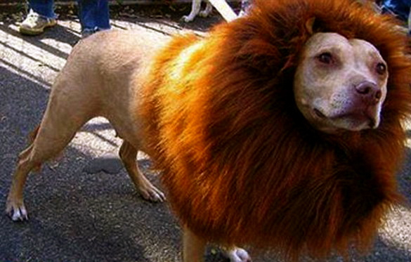 Source de l'image : dailymail.co.uk