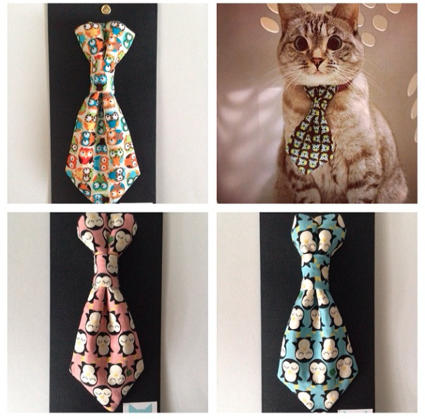 Nala_cat sur Instagram