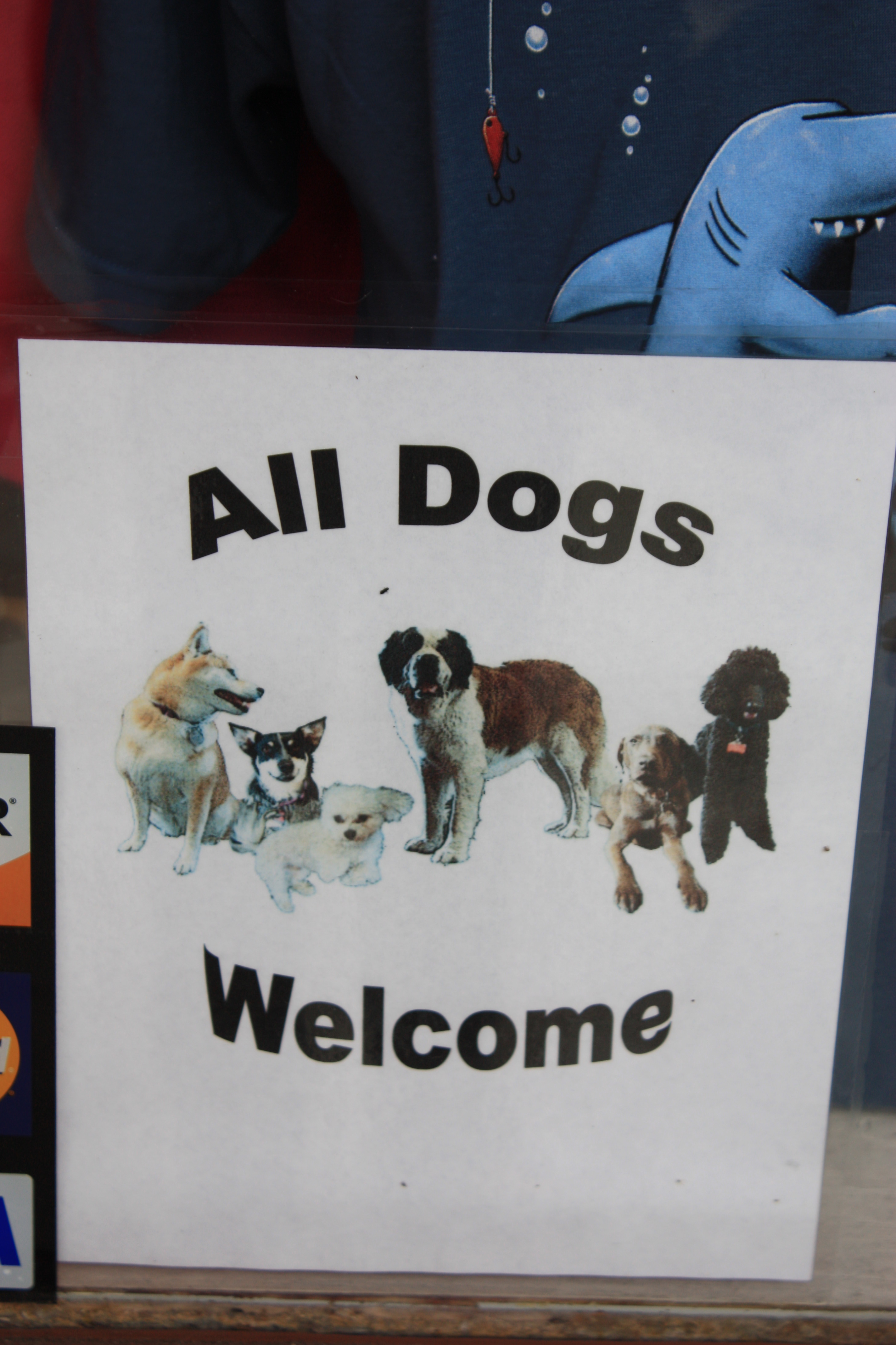 Bienvenue aux chiens