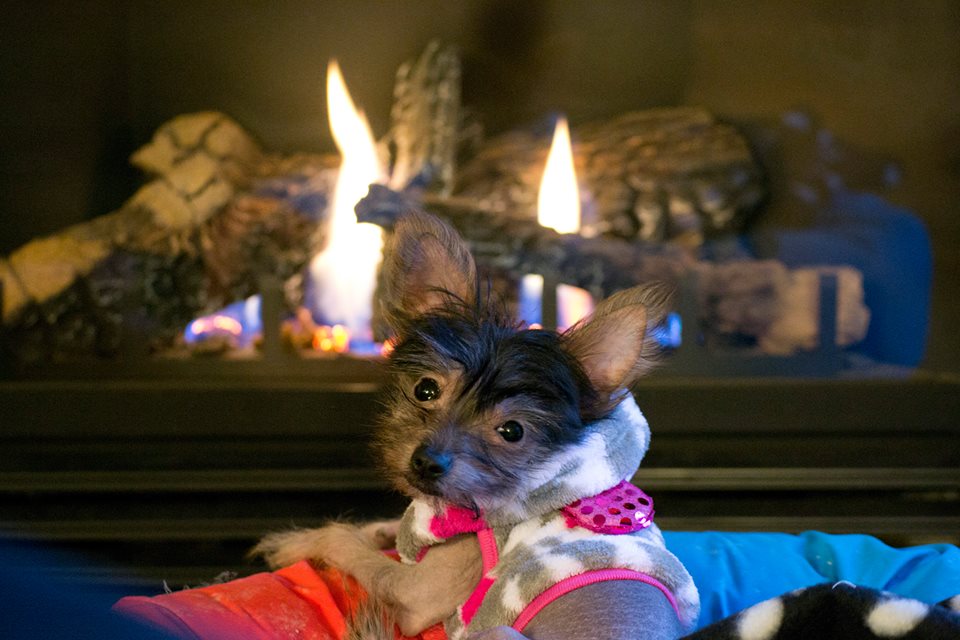 Source: Pascale B., lectrice