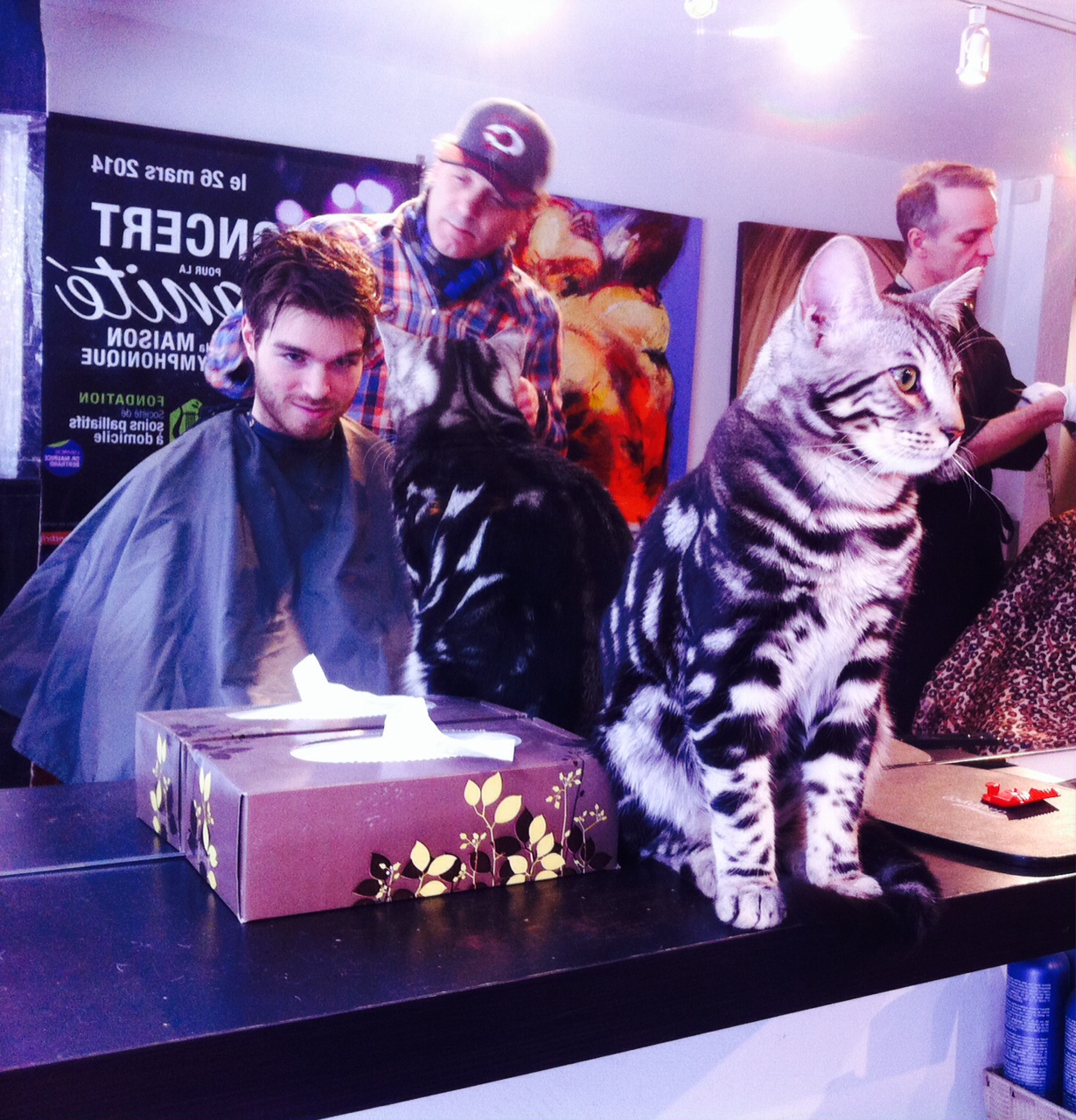 Une expérience complète