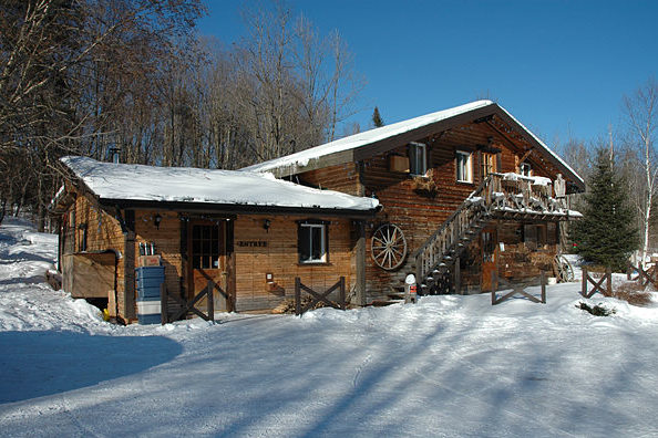 Source de l'image: chiensdetraineau.com