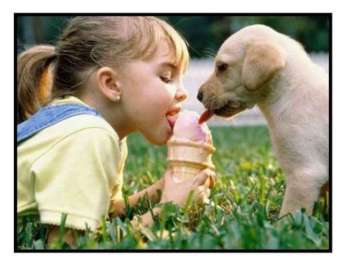chiot et fillette partageant un cornet