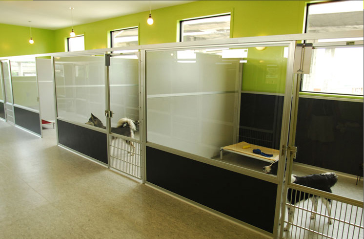 Chambres pour chiens