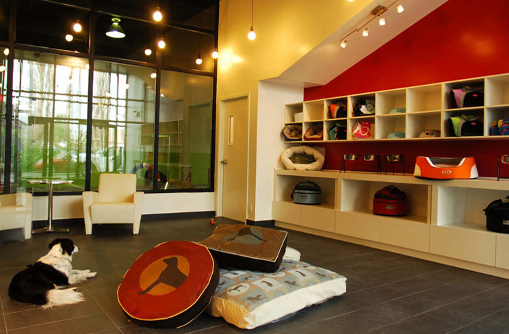 Boutique
