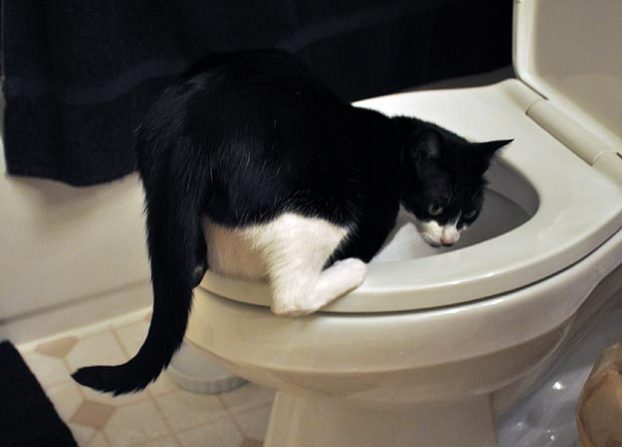 Source: animalplanet.com