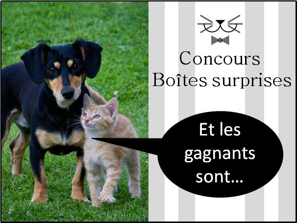 photo concours gagnants