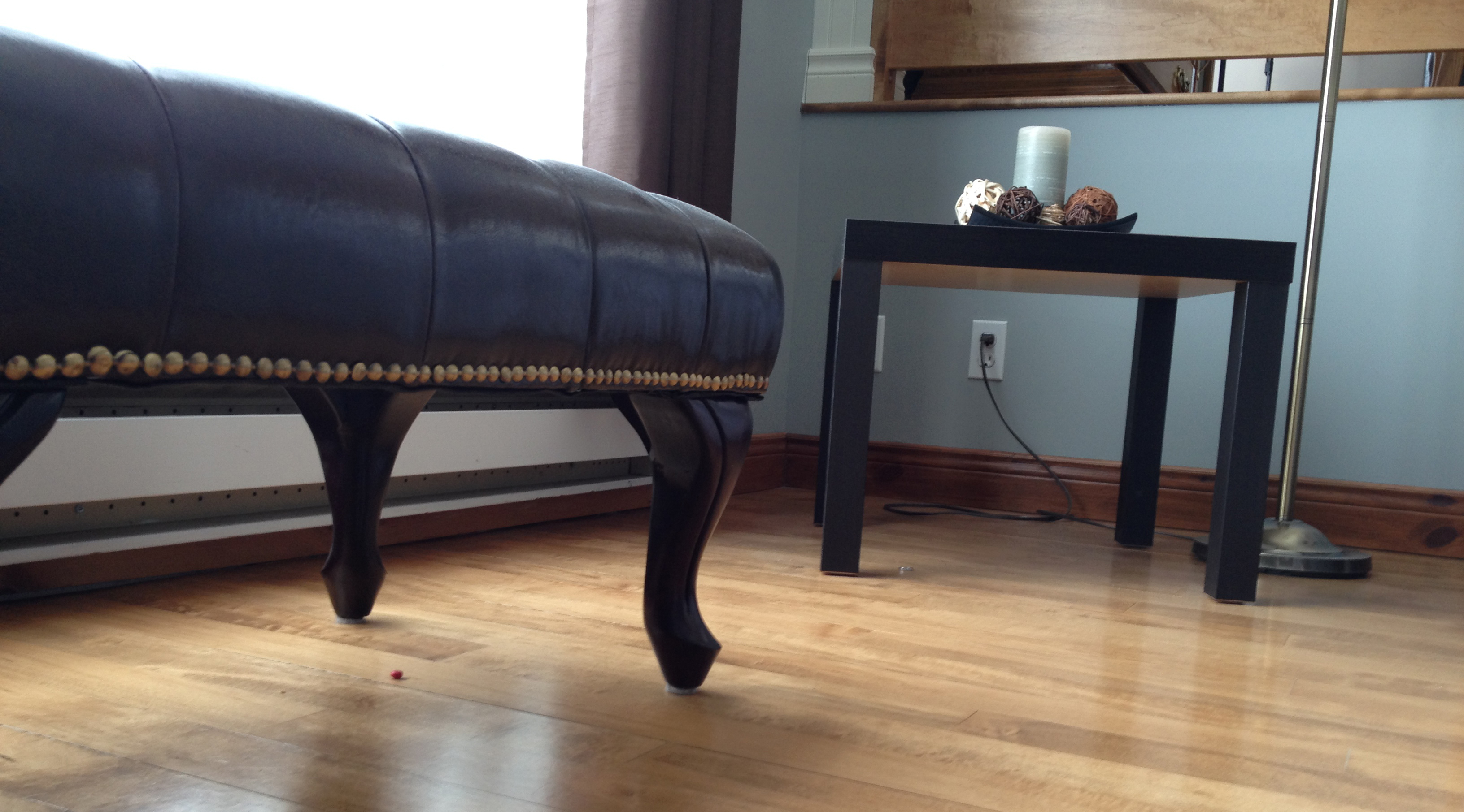 Salon vu à quatre pattes