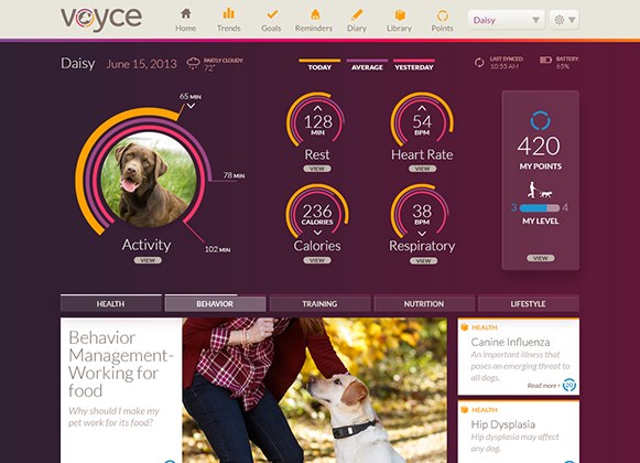 Collier-santé Voyce